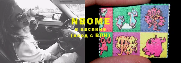 хмурый Алексин