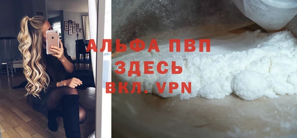 ECSTASY Алзамай