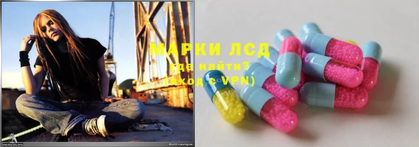 ECSTASY Алзамай