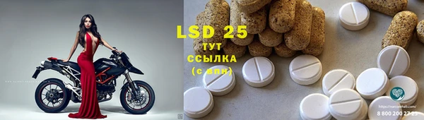 дмт Кодинск
