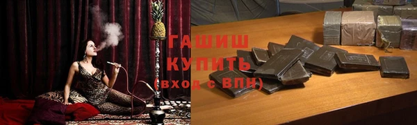 ECSTASY Алзамай