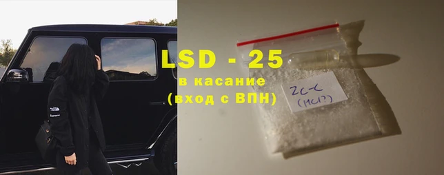 ECSTASY Алзамай