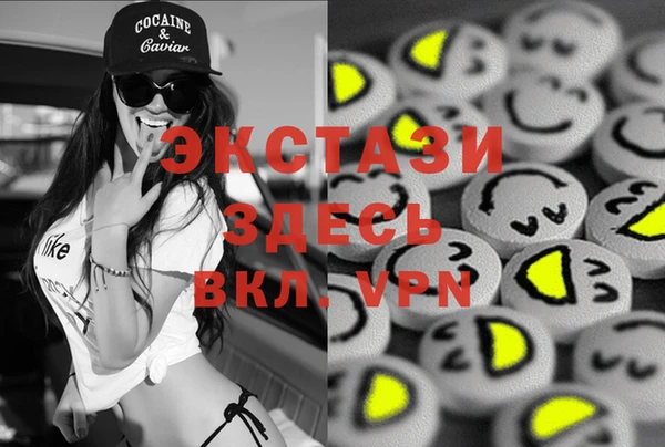 ECSTASY Алзамай
