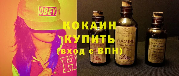 хмурый Алексин
